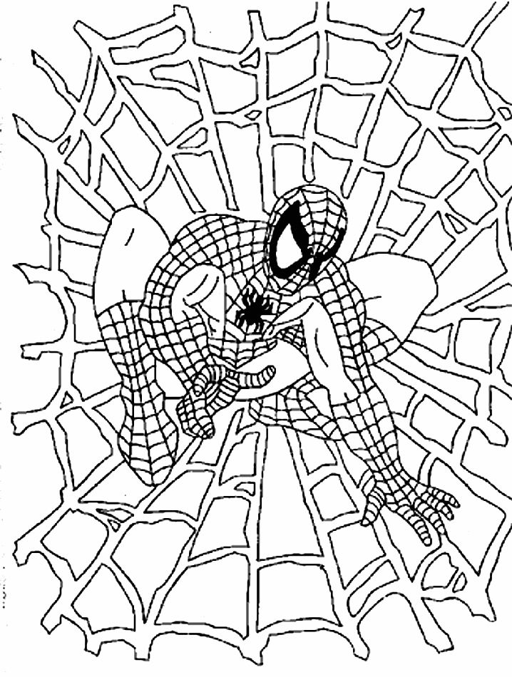 coloriage spiderman l homme araignee dans sa toile